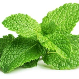Mint leaves (Phudina) - 100 gms