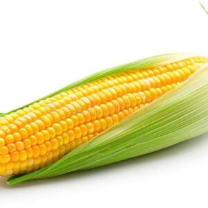 Corn - 1 Kg