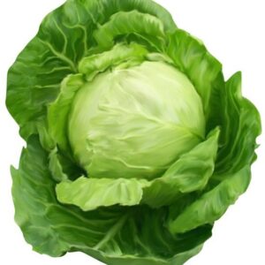 Cabbage - 500 gms