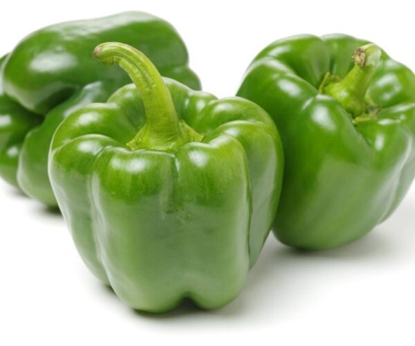 CAPSICUM -2