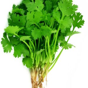 Coriander - 100 gms