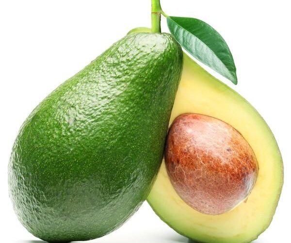 avocado